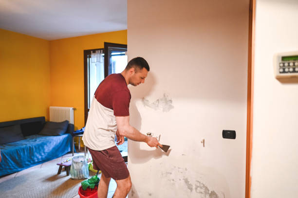 Best Affordable Mold Removal  in Long Lake, IL
